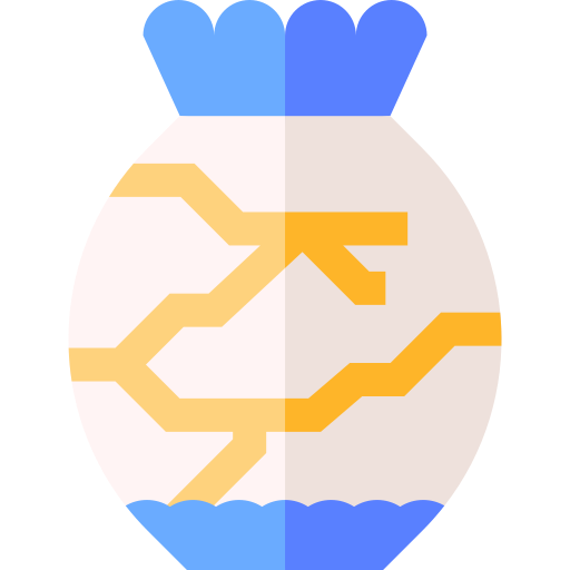 Kintsugi Expert